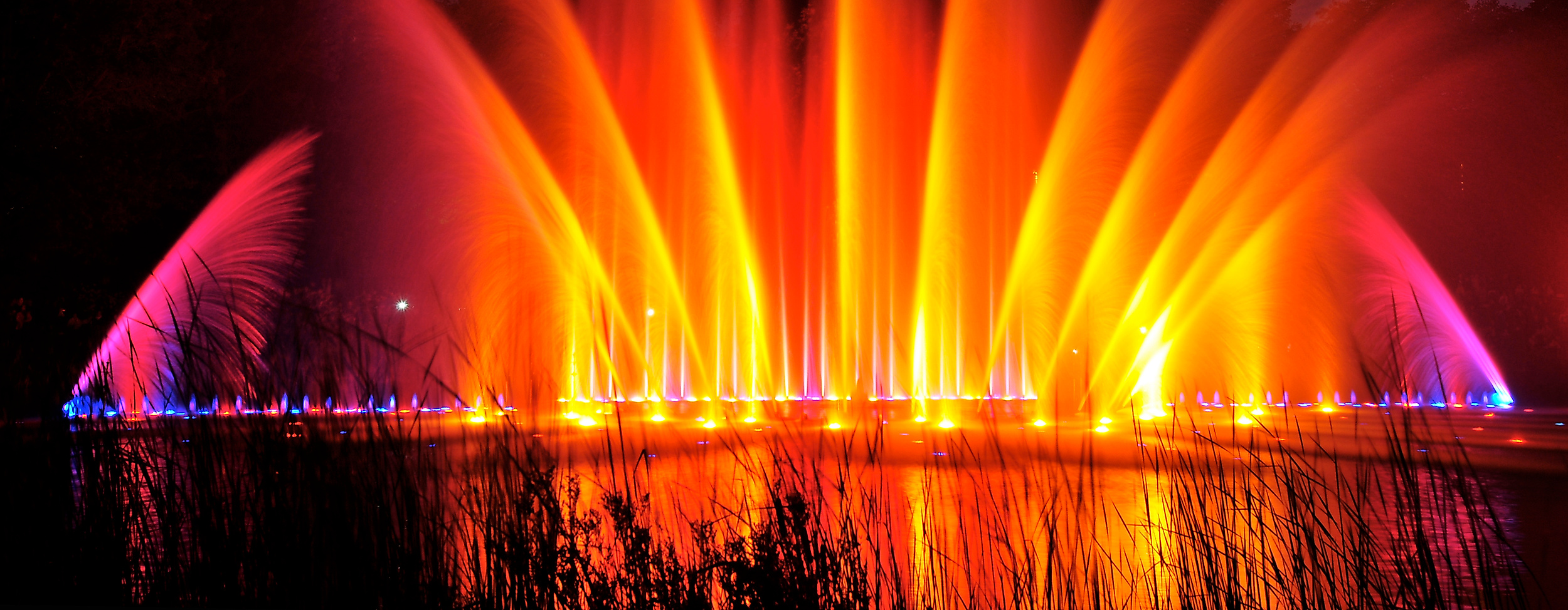 planten-un-blomen_wasserlichtkonzert_c-berndt-andresen
