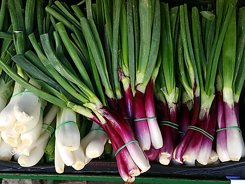 Wochenmarkt im Brunskrogweg