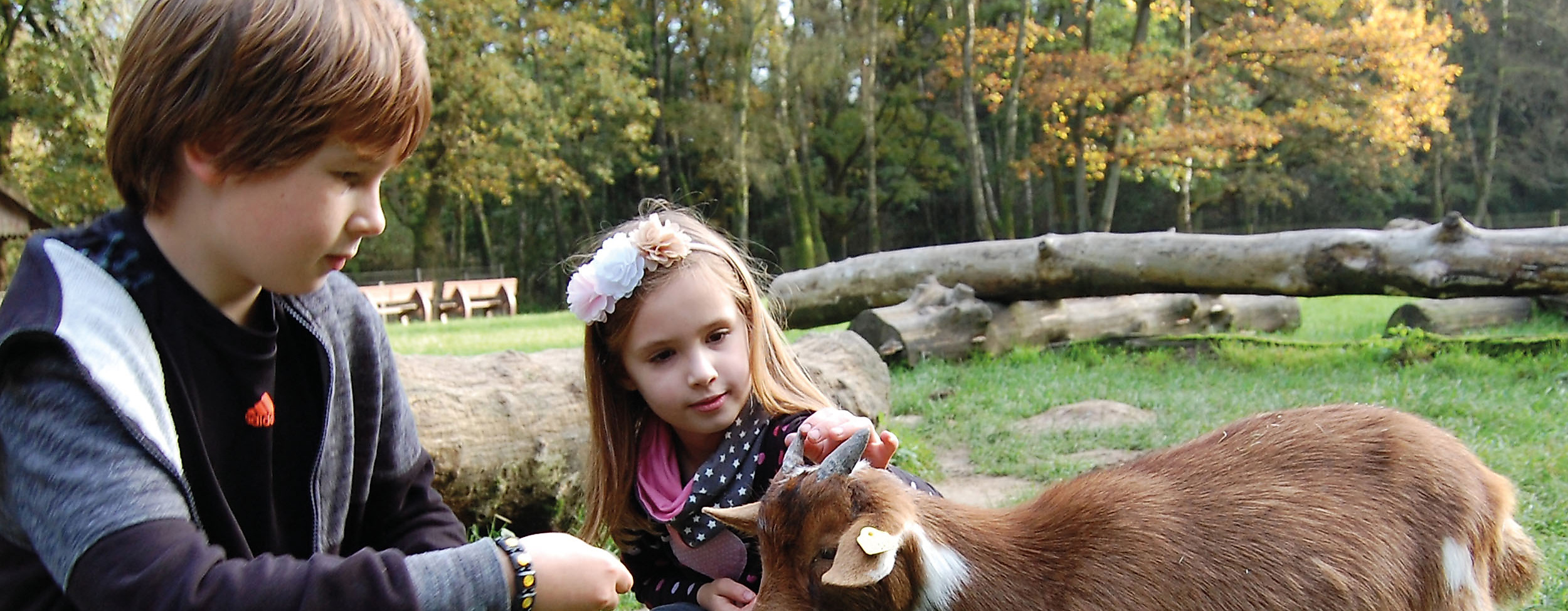 Wildpark Schwarze Berge