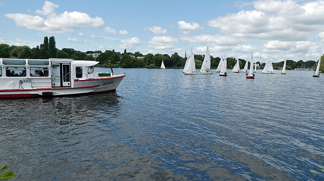 Segelregatta