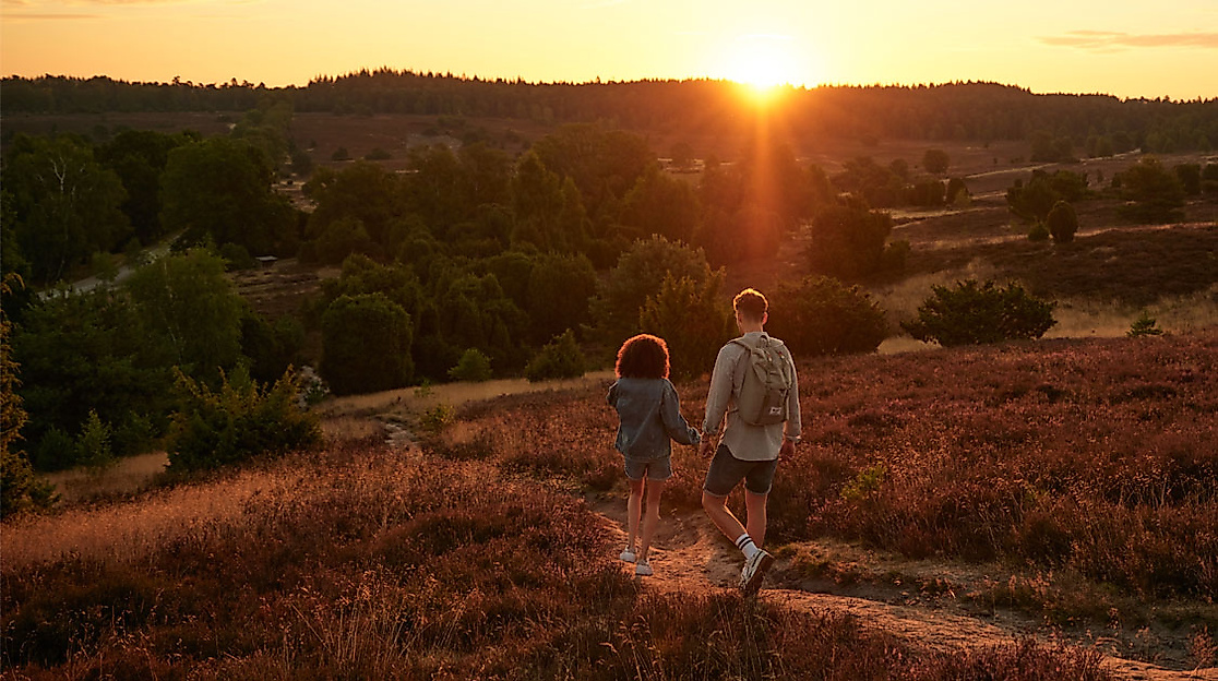 Zwei Personen wandern bei Sonnenuntergang durch die Heidelandschaft Fischbeker Heide bei Hamburg