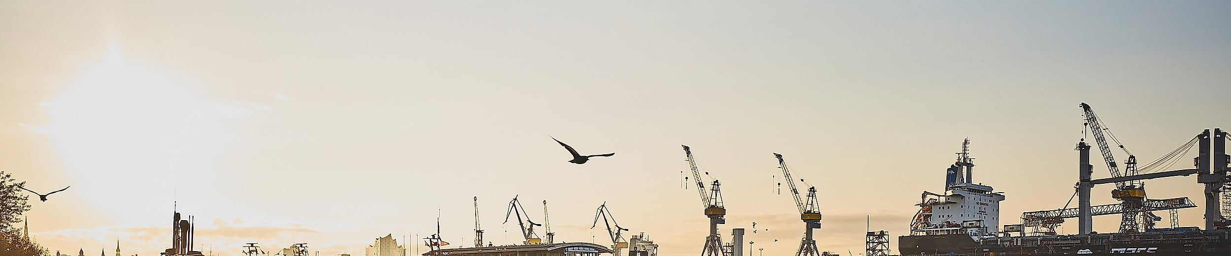 Sonnenaufgang im Hamburger Hafen mit Möwen, Schiffen und silhouettierten Kränen über glitzerndem Wasser