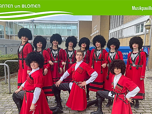 Studio Iberia