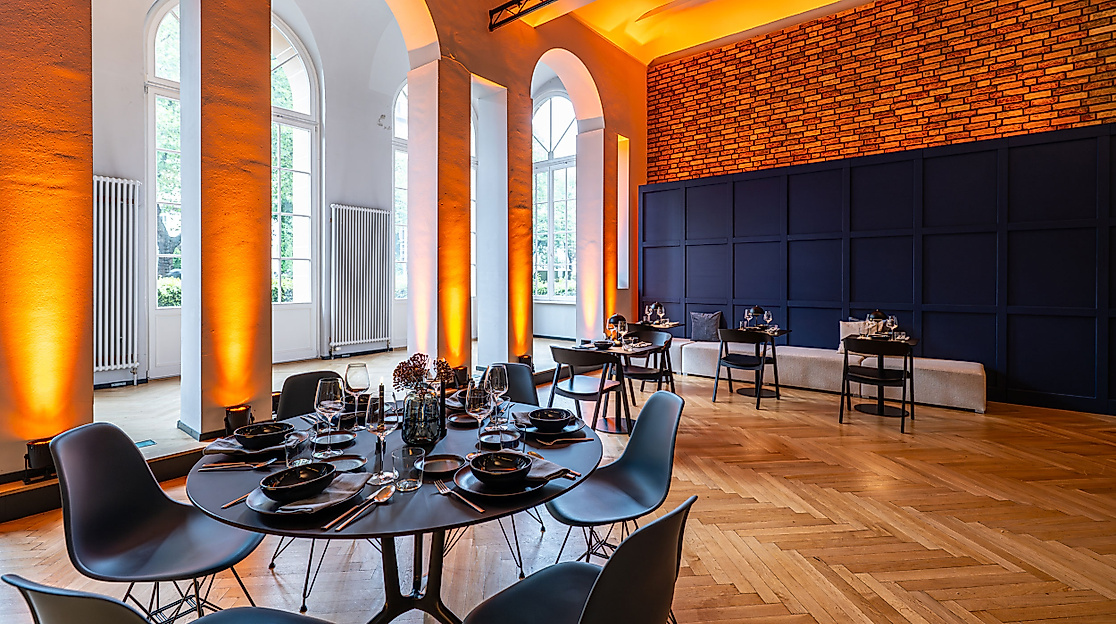 curio-haus-web-4-2500x1500