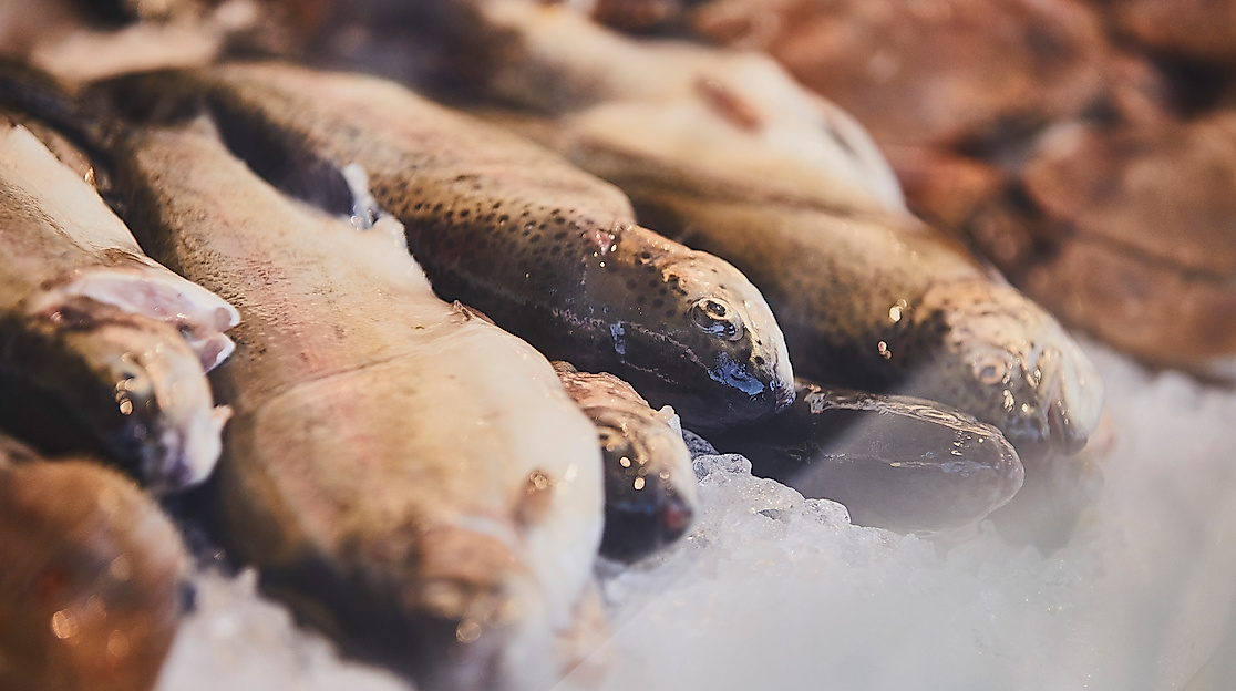 fischmarkt_sonntagmorgen-details_c-2018-thisisjulia-photography-11