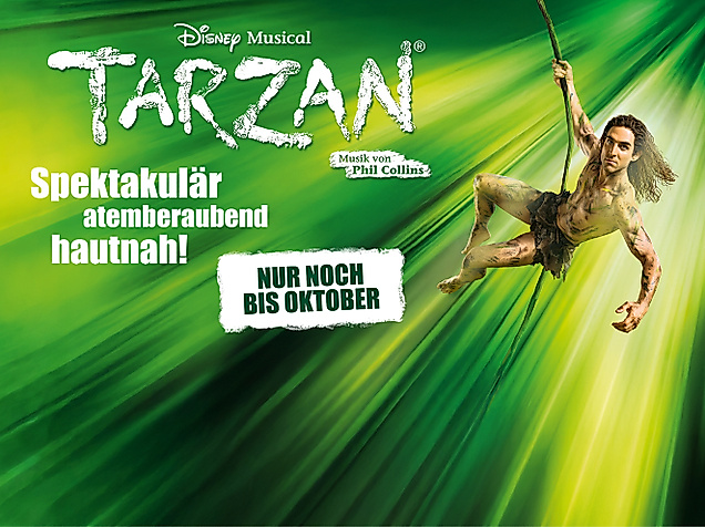 Package: Disneys Musical TARZAN