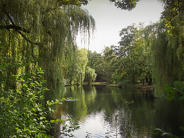 eimsbuetteler-park-am-weiher_c-2018-deliah-rill