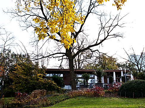 park-cafe-schoene-aussichten_c-2018_tschreiber