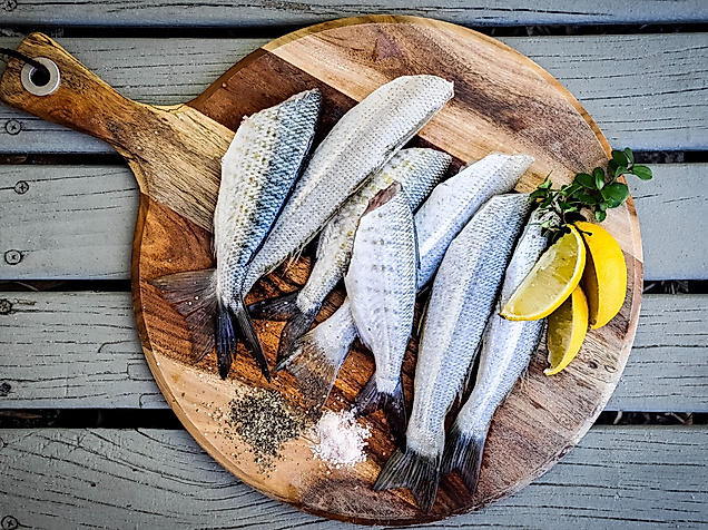 fischwerker-karsten-hagen-c-unsplash-jeremy-stewart