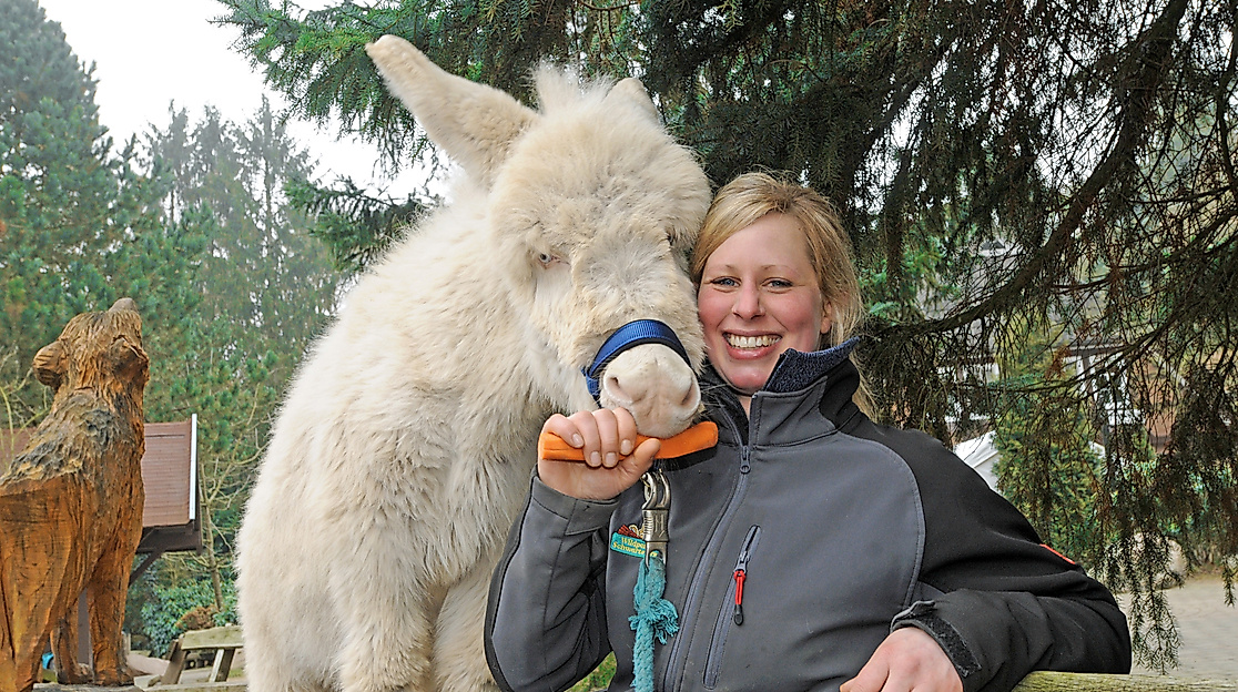Wildpark Schwarze Berge